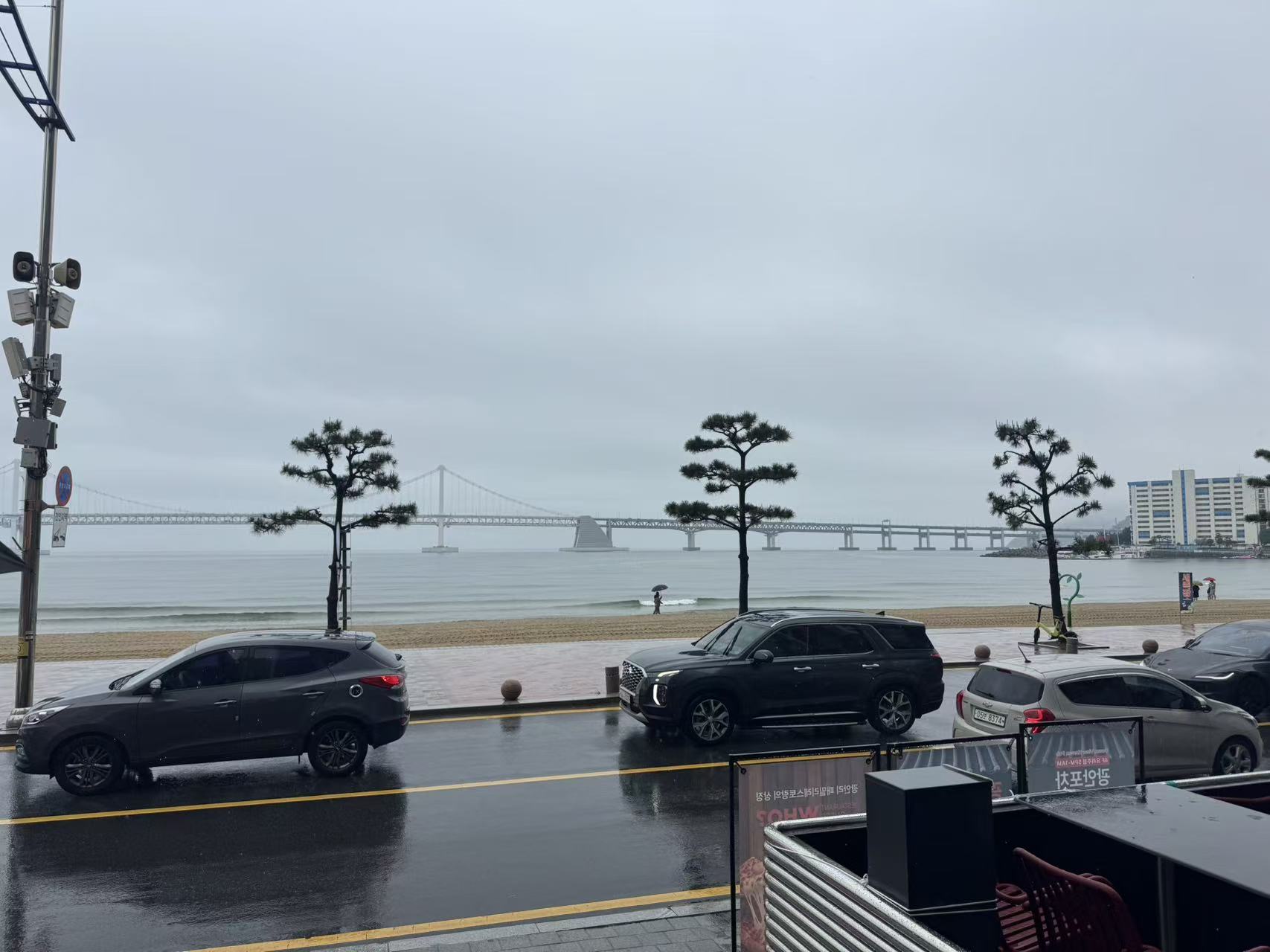 rainInBusan